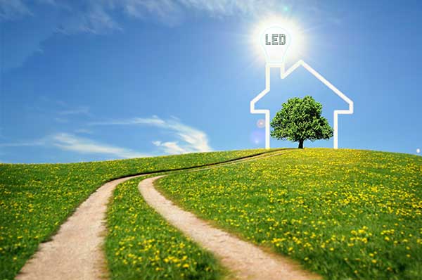 Energy-Saving Appliances and Products | Power Illustration