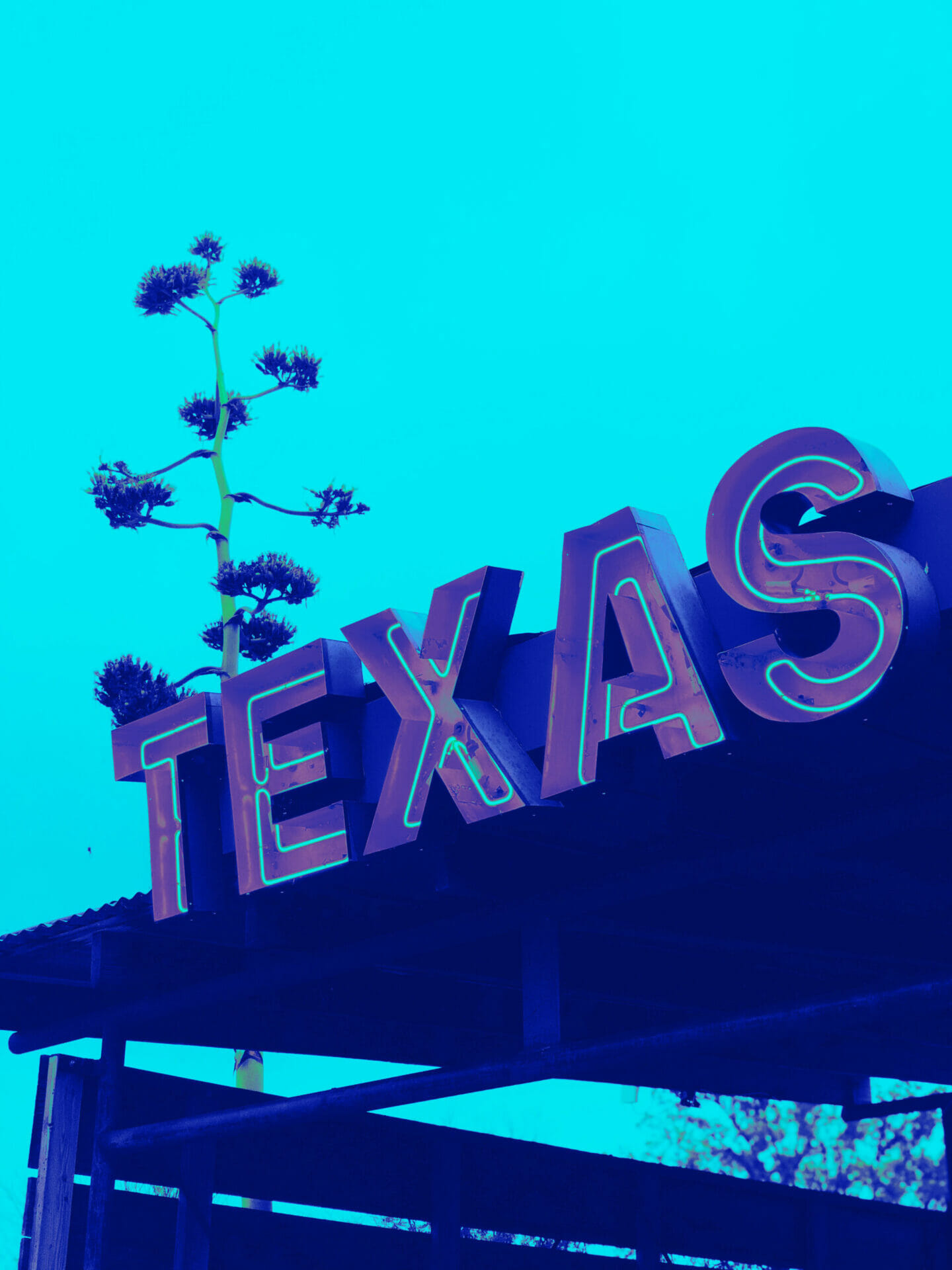 Power to Choose Lowest Electricity Rates AEP Texas | Texas Sign Photo