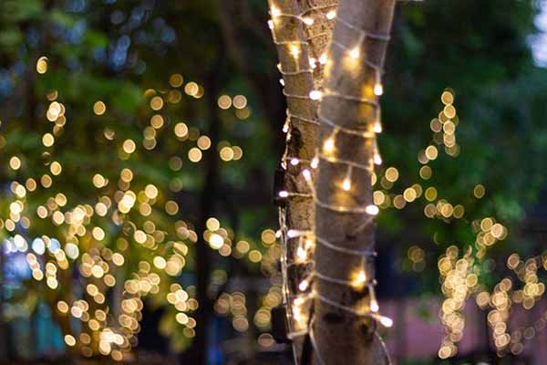 Solar-Powered Outdoor Lights | Night time Tree Decorative Lights Solar-Powered Outdoor Lights | Night time Tree Decorative Lights