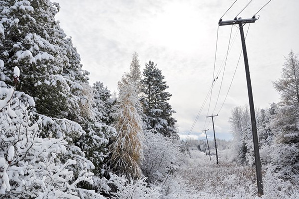 Texas Winter Storm Cold Frozen Powerlines