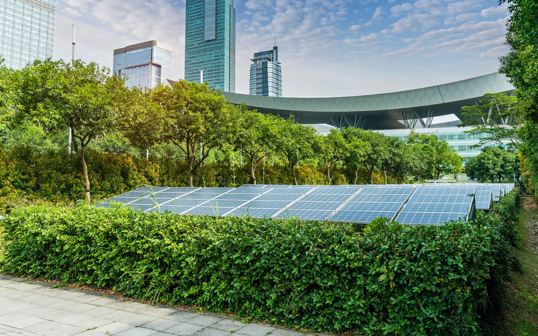 What Is Renewable Energy and How Does It Work?