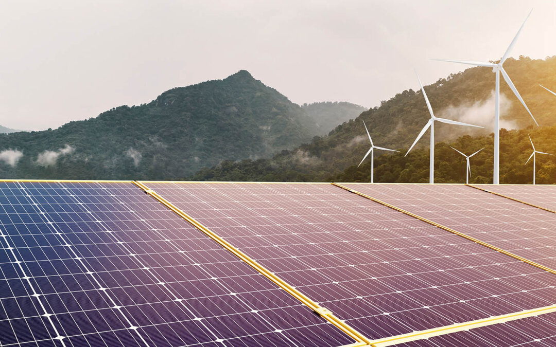 Energy Conservation the Painless, Easy Way