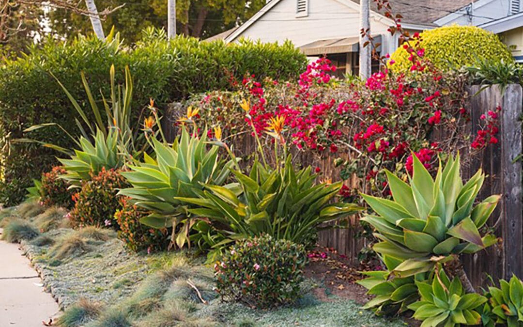 Top Tips for Creating an Energy-Efficient Landscaping Design