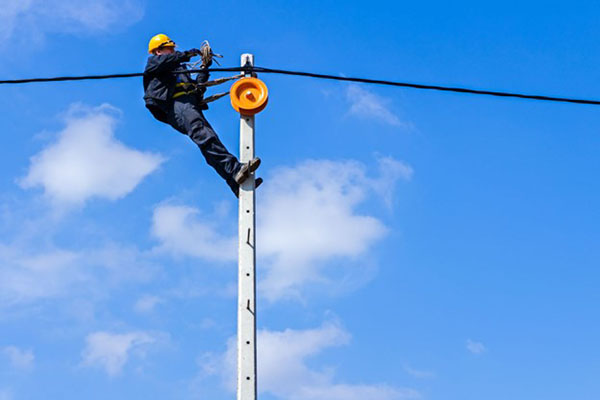 Electricity Grid and Utility Companies