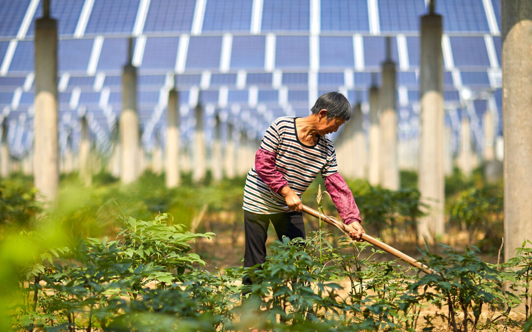 Why Net Metering Could Help You Save on Energy Bills